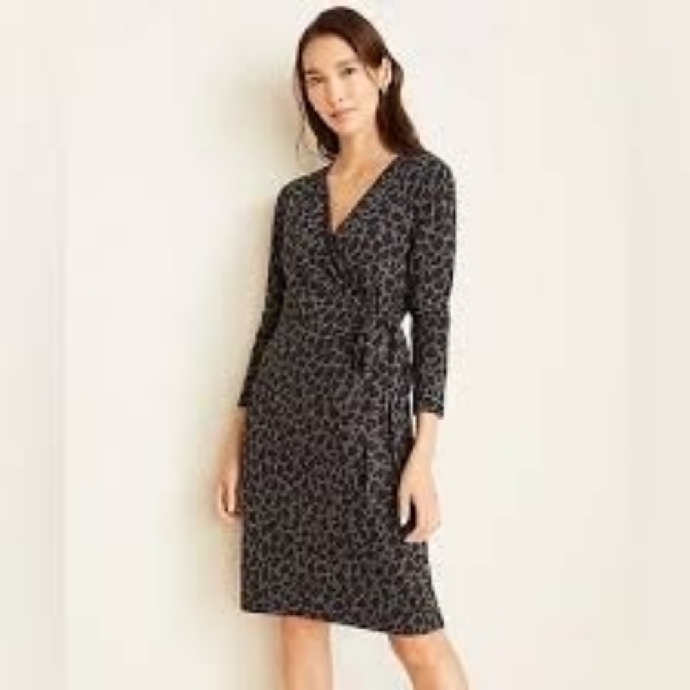 Ann Taylor Leopard Print Wrap Dress